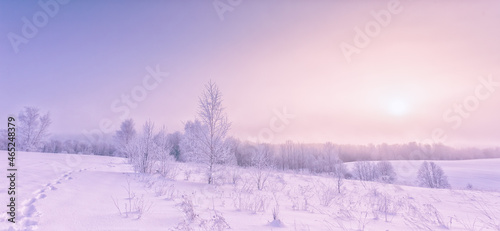 Frozen tree branches in a purple morning sky background, extremely cold environment. Winter view, frosty, cold, icy landscape © lukjonis