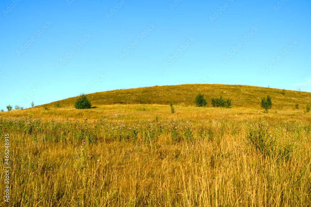 The grass and the mountain are golden in late summer.