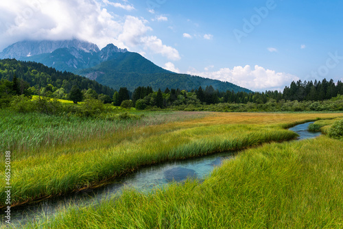 Sava River in Zelenci Springs in Slovenia Julian Alps