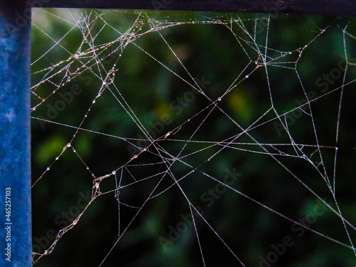 web in the morning