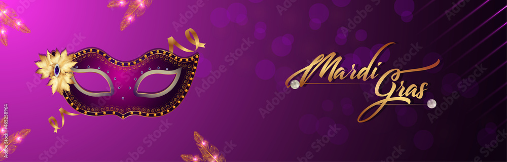 Carnival celebration party banner and carnival mask with feather