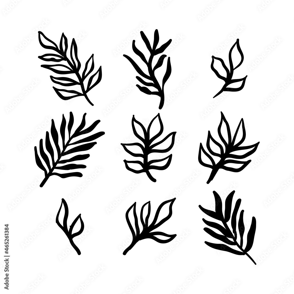 Fototapeta Little branches and floral doodles, hand drawn sketch drawings of plants, branches and leaves. Vector illustration.