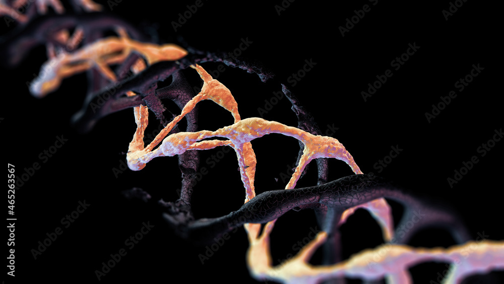 Viewed in an electron microscope DNA molecules on a black isolated background. Biology and