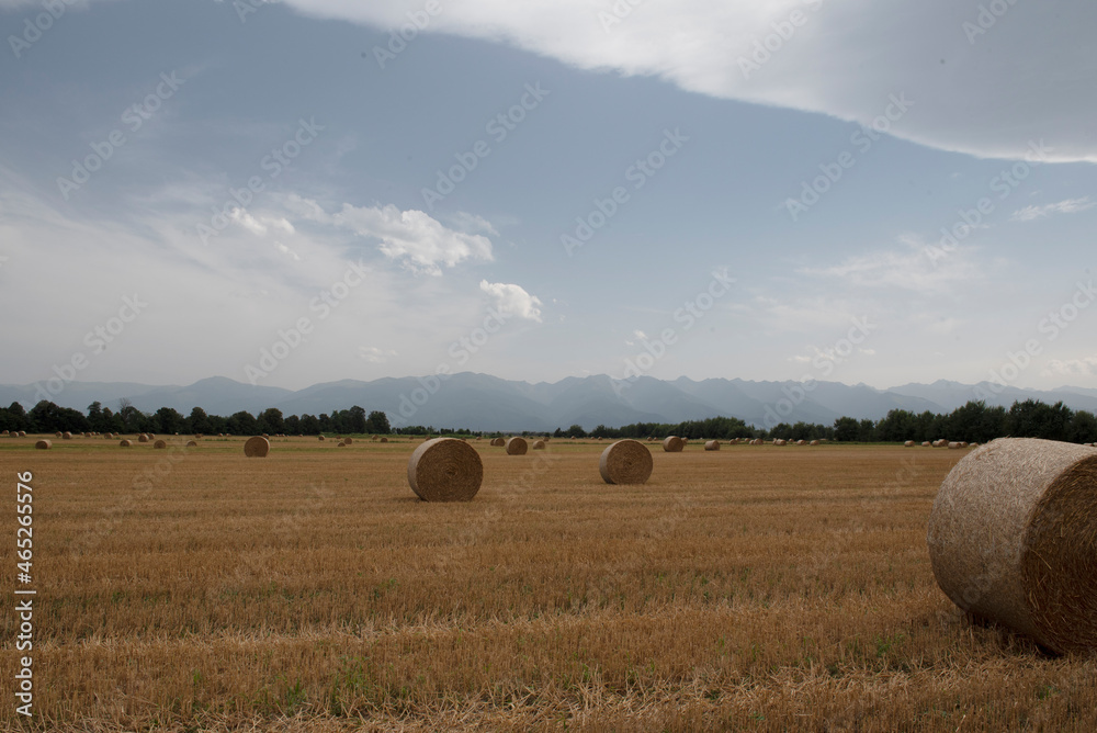 A haystack with straw in an agricultural field. Rural landscape. In the background there are picturesque mountains, blue sky.
