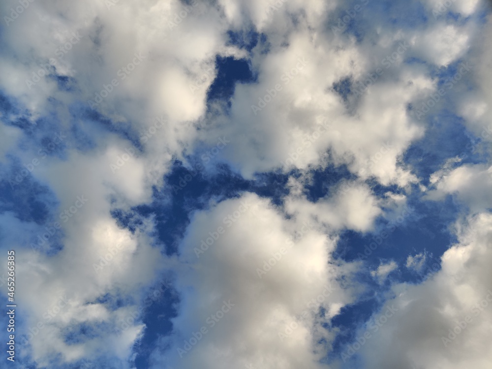 Obraz premium nature