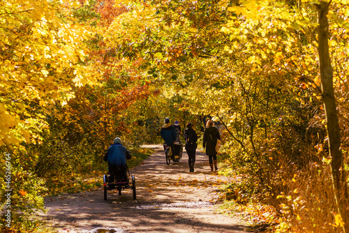 Fototapeta Naklejka Na Ścianę i Meble -  Path in autumn forest, Walkers in an autumn park, People walking in an autumn park