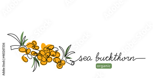 Sea buckthorn berry simple vector illustration. One continuous line art drawing with lettering organic sea buckthorn berry.