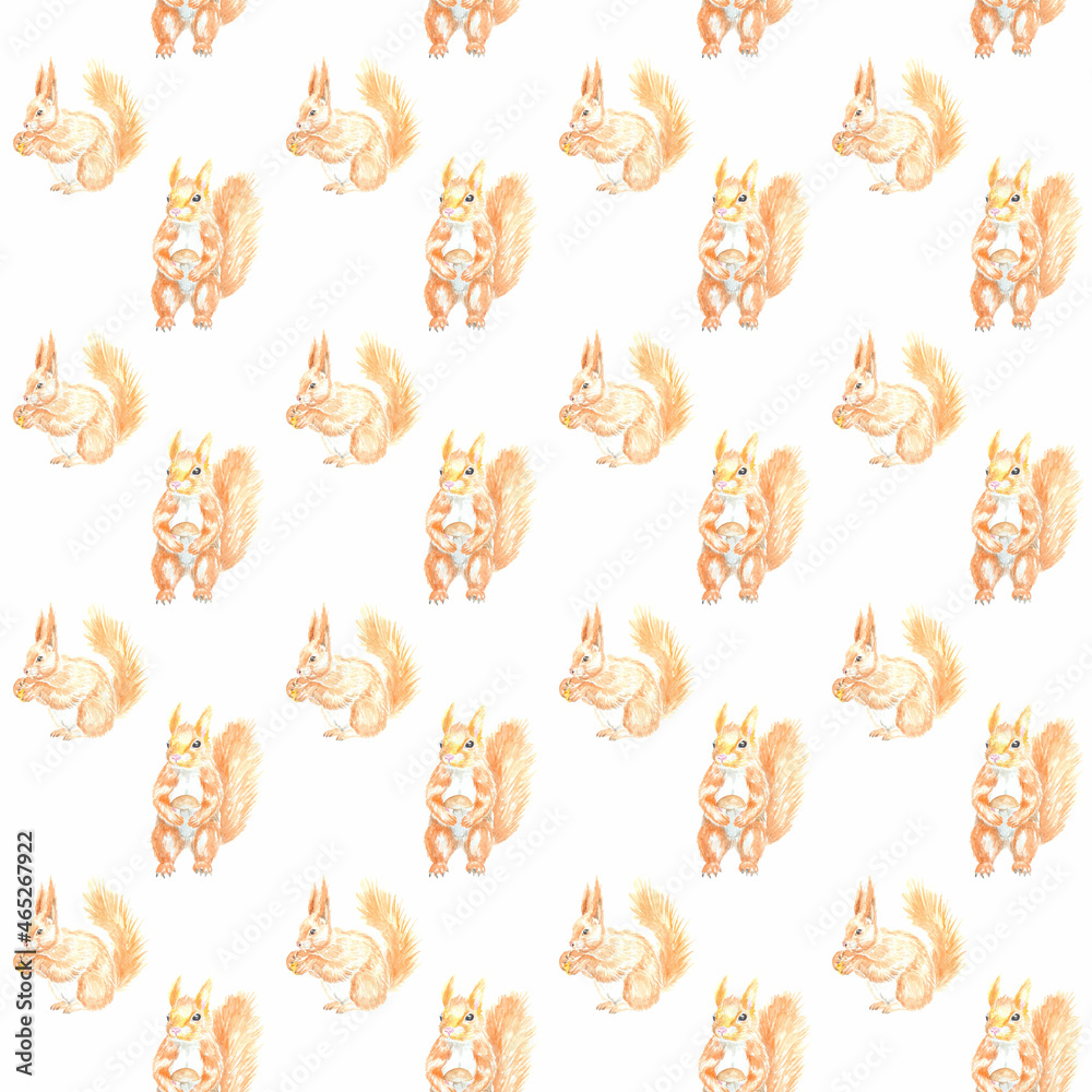 Watercolor pattern with funny squirrels. Perfect for printing, web, text design, souvenirs, scrapbooking and other ideas.