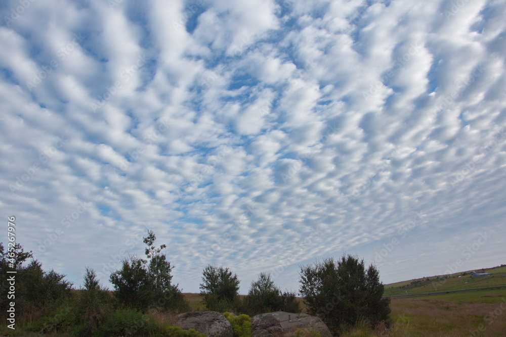 Obraz premium Beautiful clouds at Egilsstadir on Iceland, Europe 