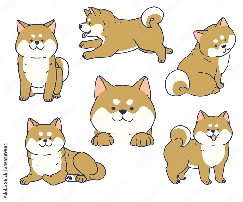 かわいい柴犬セット