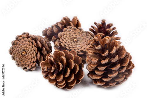 Close up of natural pinecones in brown color for decoration isolated on white background with copy space. Pinecone on the white background.