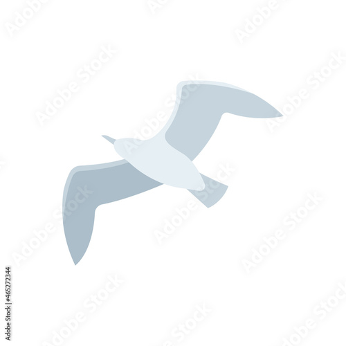 Albatross abstract symbol. Flying albatross vector illustration. Bottom view.