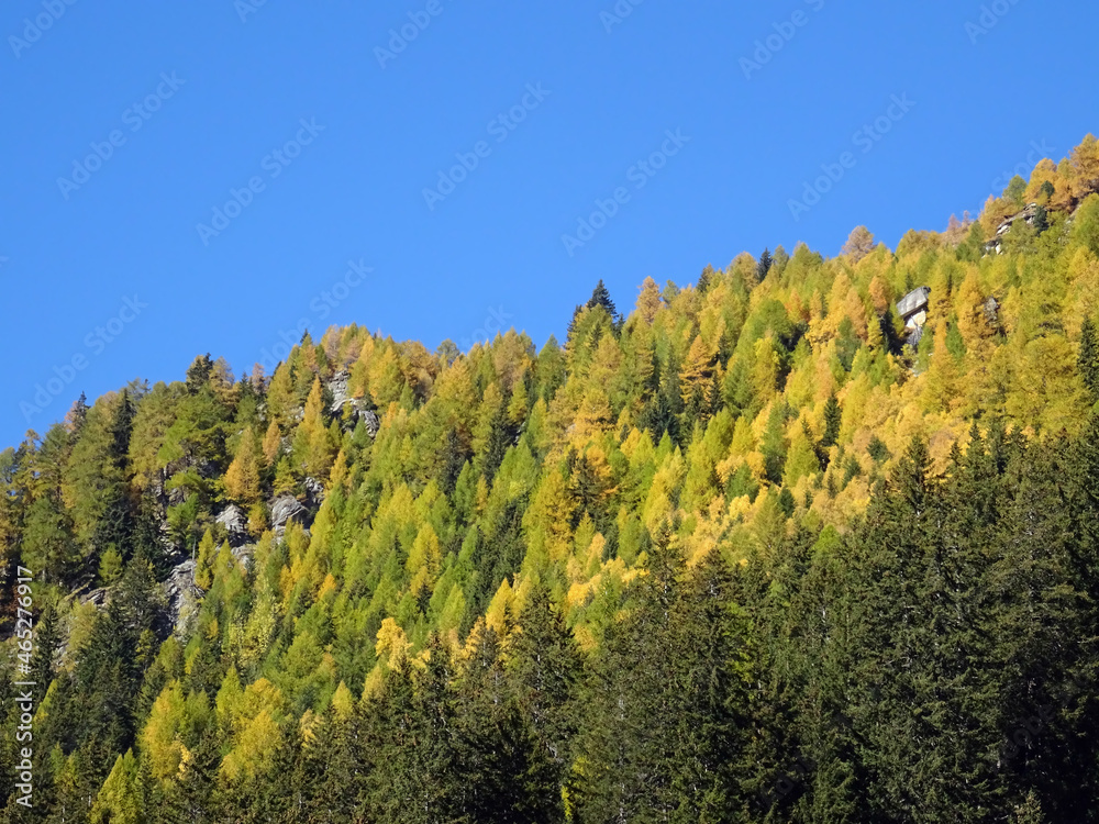 Fall season on Italian alps