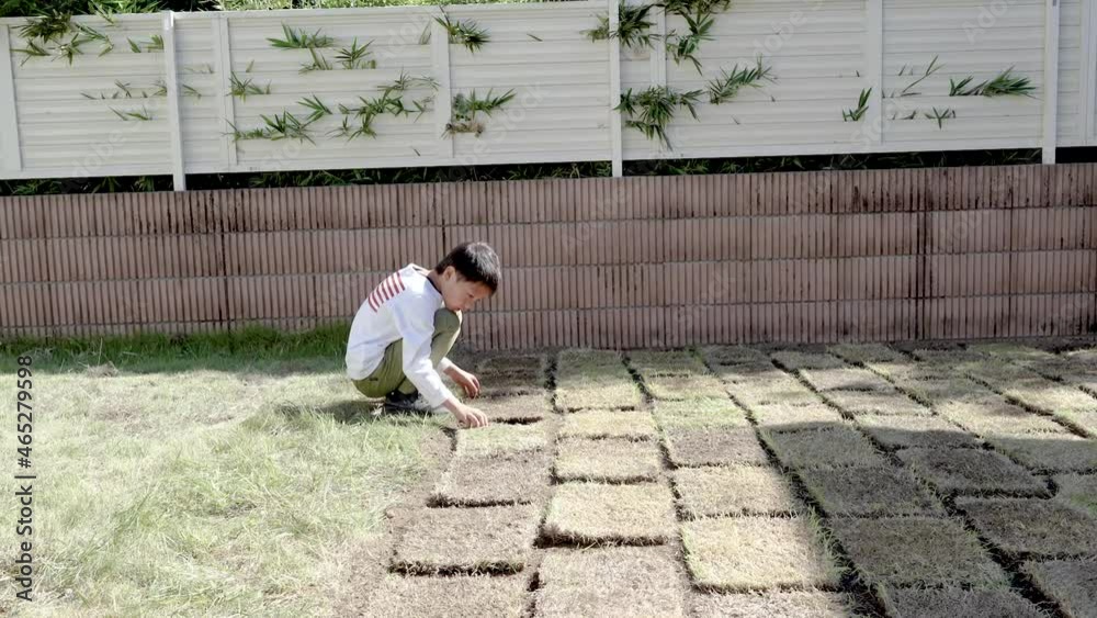 庭に芝生を植えるお手伝いをする小学生の男の子 庭に芝生を植えるお手伝いをする小学生の男の子