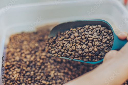 Fresh roasted coffee beans in a cup
