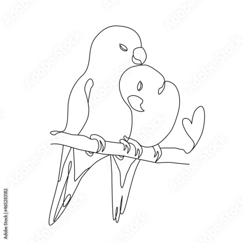 Vector one line illustration with two parrots on a branch on white background. Love birds in lineart style for greeting card, wall art and invitation on wedding