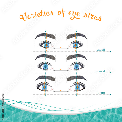 Eye sizes on a white background