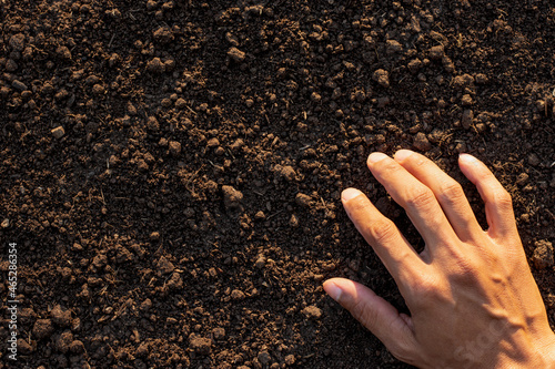 Loam in the hands of men for planting, soil texture background. photo