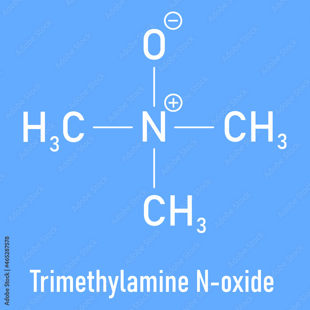 Trimethylamine N-oxide (TMAO) molecule. Skeletal formula. Trimethylamine N-oxide (TMAO) molecule. Skeletal formula.