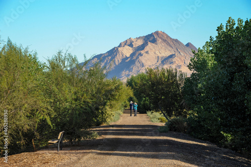 Henderson Bird Viewing Preserve, Henderson, NV.