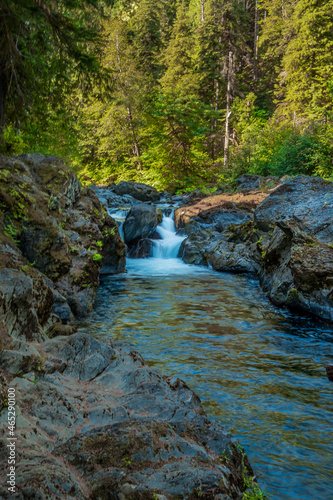 Stream flows over waterfalls and through the sunlit forest of Olympic National Park