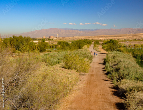 Henderson Bird Viewing Preserve, Henderson, NV. photo