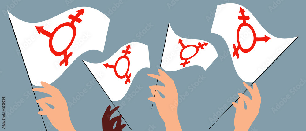 Transgender symbol, people hands isolated, flat vector stock ...