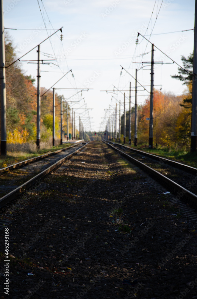 Railway is located between autumn trees. Rails and sleepers next to pillars pass through autumn forest. Autumn season concept.