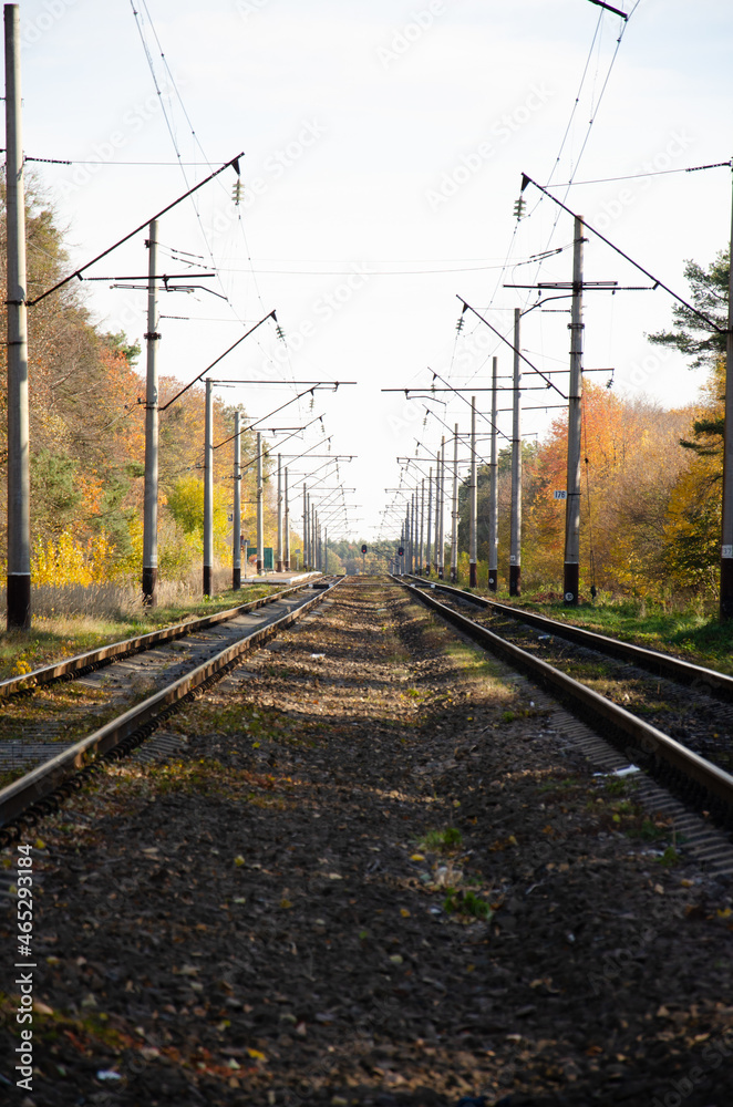 Railway is located between autumn trees. Rails and sleepers next to pillars pass through autumn forest. Autumn season concept. Railway is located between autumn trees. Rails and sleepers next to pillars pass through autumn forest. Autumn season concept.