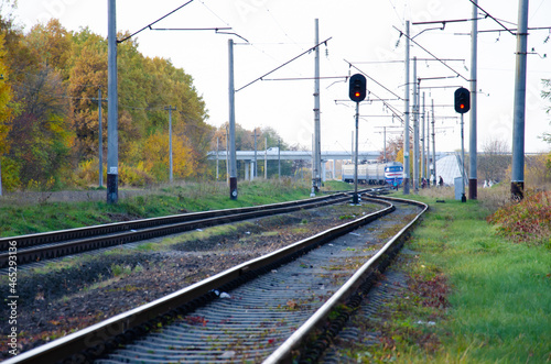 Railway is located between autumn trees. Rails and sleepers next to pillars pass through autumn forest. Autumn season concept. Train runs on rails under highway.