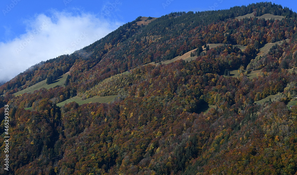 autumn in the mountains