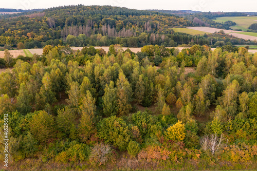 Bird's-eye view of autumnal discolored deciduous trees in the Taunus / Germany 