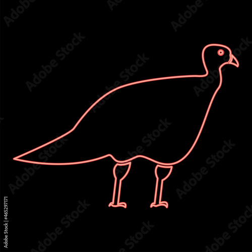 Neon turkeycock red color vector illustration flat style image