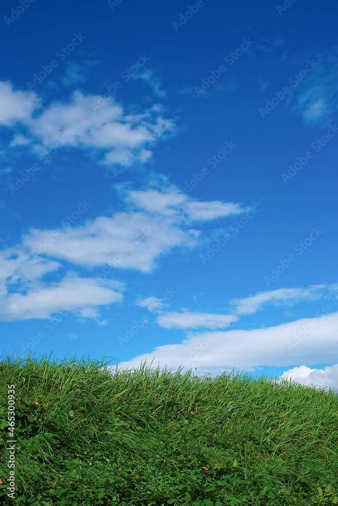 丘の上に広がる青空の風景