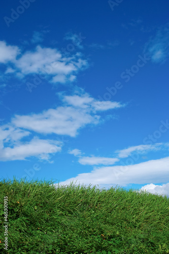 丘の上に広がる青空の風景