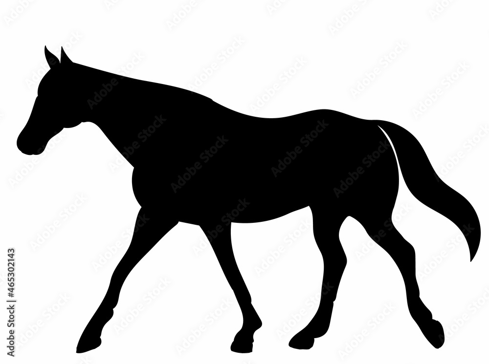 black silhouette horse running vector, isolated black silhouette horse running vector, isolated