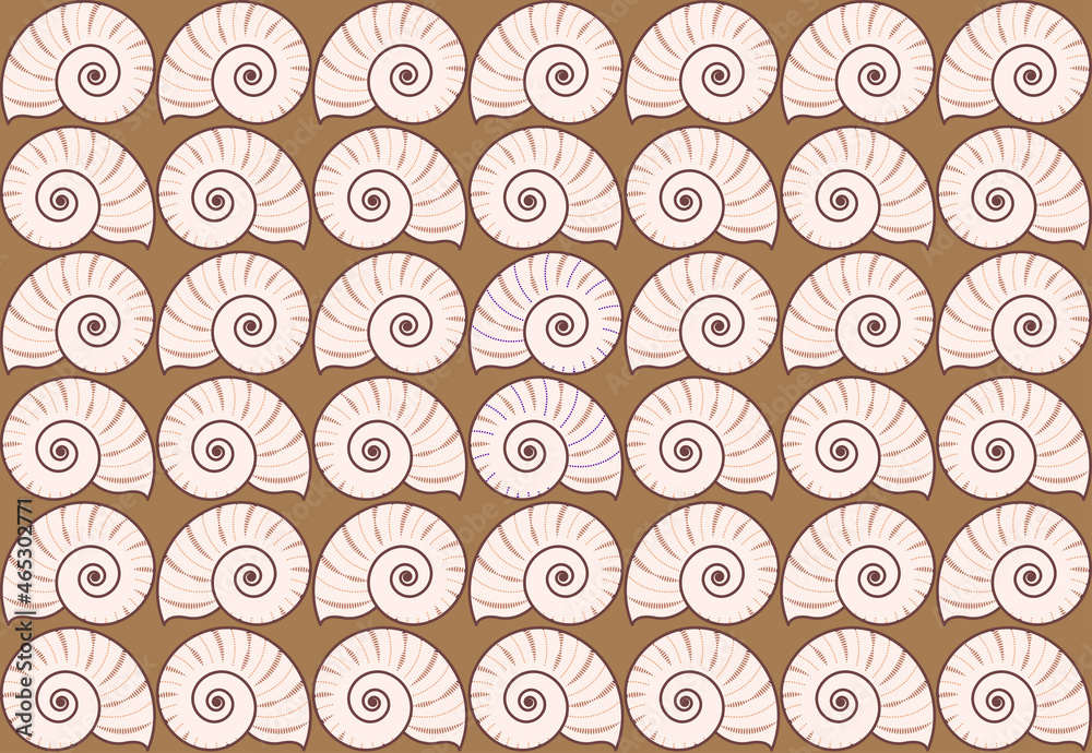 Nautilus shell seamless pattern background. Colorful repetitive nautilus conch