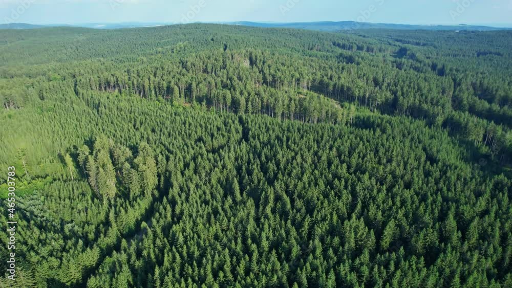 Beautiful landscape on a coniferous forest. Crowns of trees, pine forest. View from a height. Beautiful landscape on a coniferous forest. Crowns of trees, pine forest. View from a height.