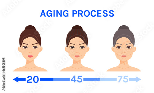 Isolated Beautiful Young Caucasian Girl, Mature Lady and Elderly Woman. Aging of a Cute Female Face. Flat Cartoon Style. White background. Illustration for Beauty, Medical and Cosmetics Design. Vector