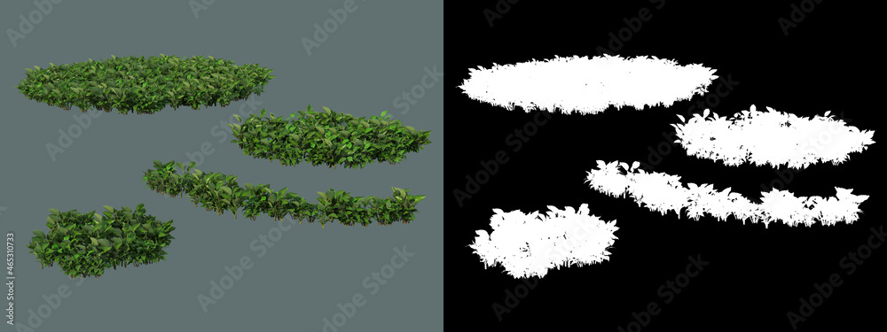 A wide variety of trees and shrubs
A wide variety of trees and shrubs