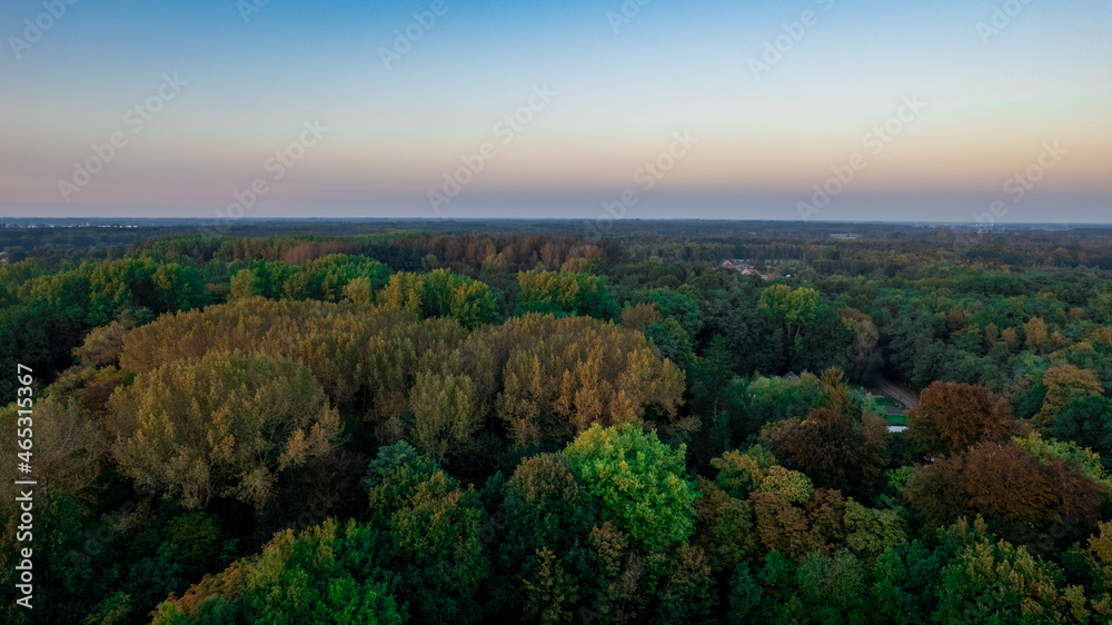 Aerial bird view over beautiful temperate coniferous forest over top of trees showing the amazing different green pine forest colors. Air hum, flying low over a dense forest landscape. High quality