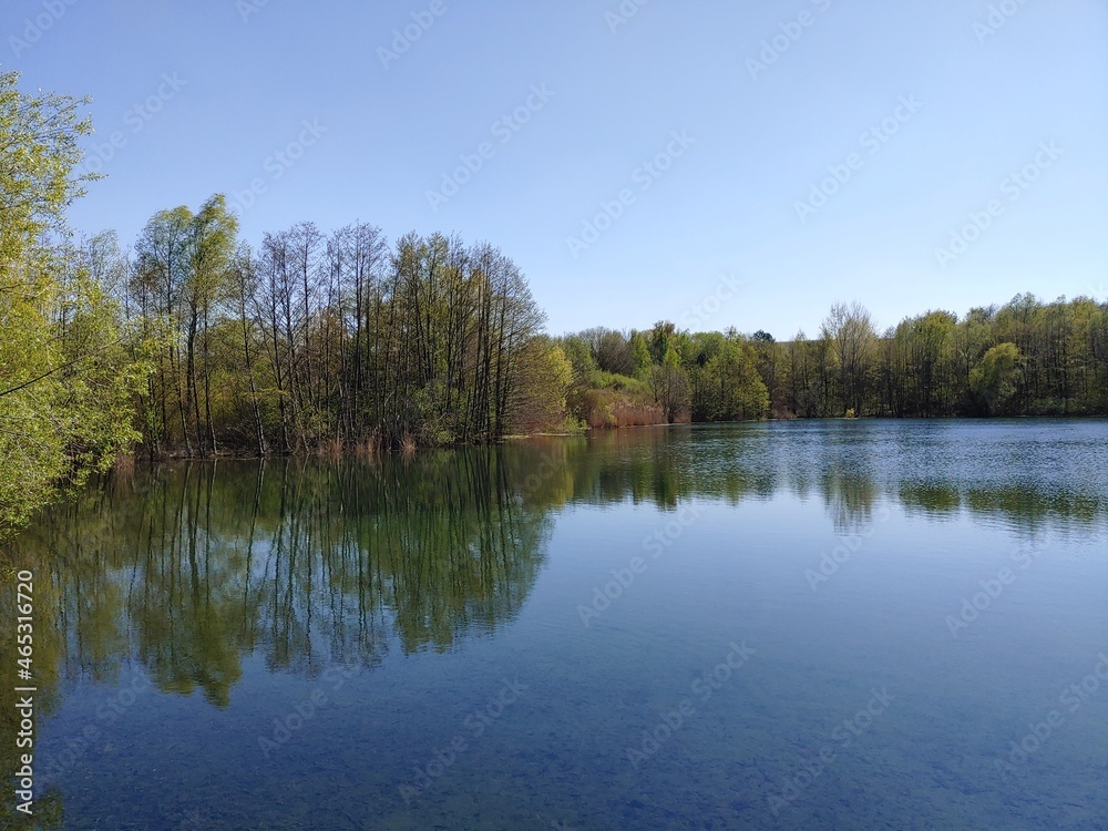 Small lake in natural protection habitat under a clear spring sky, Göcklingen, Rhineland Palatinate, Germany
