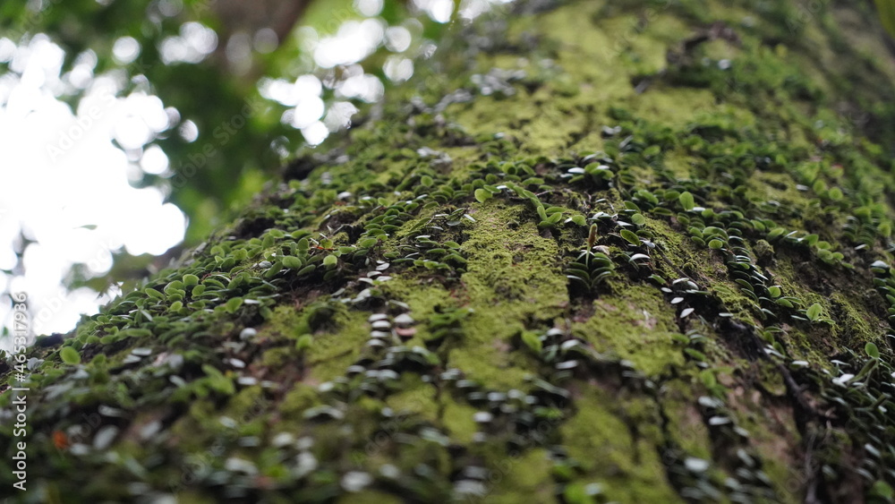 書写山 圓教寺の風景