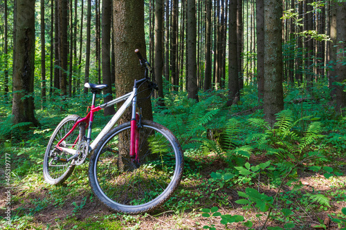 Mountain bike is standing in the forest. Photo of the bicycle in the woods with trees. © Anatoly