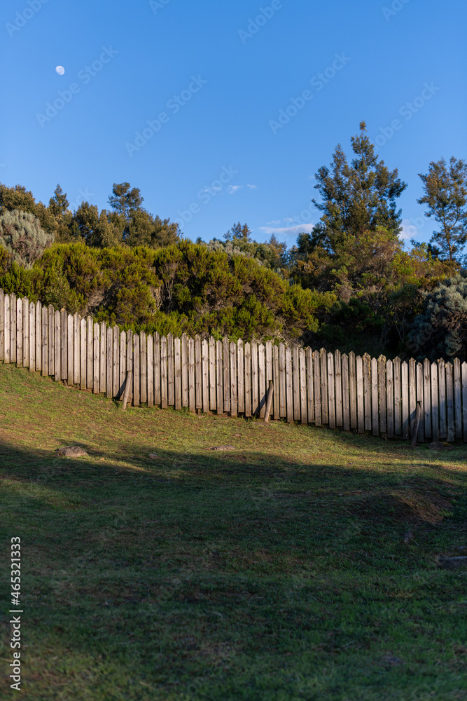 Fence in Nature