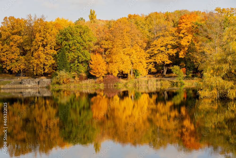 Obraz na płótnie Park Śląski - Chorzów - Katowice 
Polska złota jesień 2021
las i rzeka jesienią. w salonie