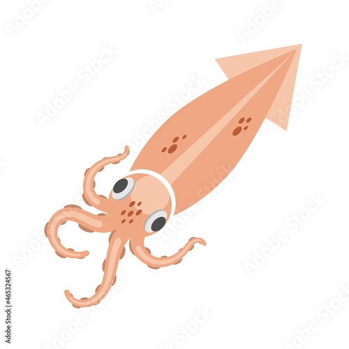 Squid carcass with tentacles. Vector flat stock illustration