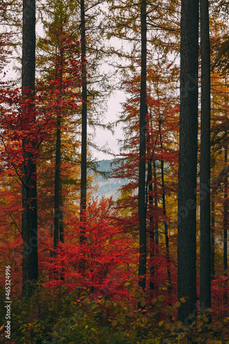 Beautiful autumn in the mountains in Austria.