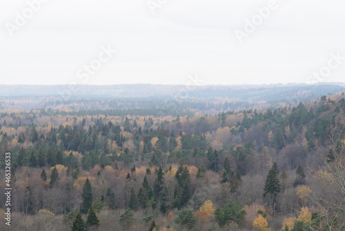 beautiful mountain valley with yellow-green trees in autumn