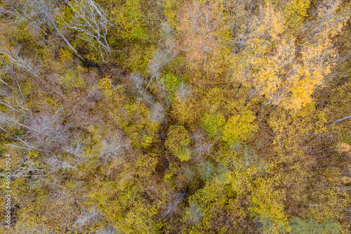 View of the forest from above, autumn colors and a small stream on the ground